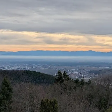 Apartment Les 3 Zepp Turckheim