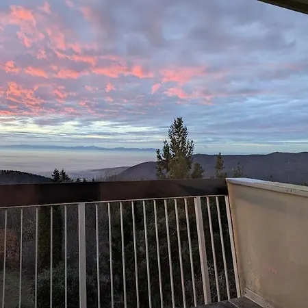 Les 3 Zepp Turckheim