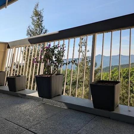 Les 3 Zepp * Turckheim