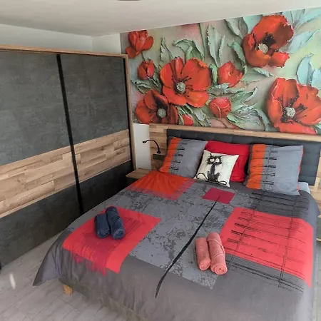 Les 3 Zepp Apartment Turckheim